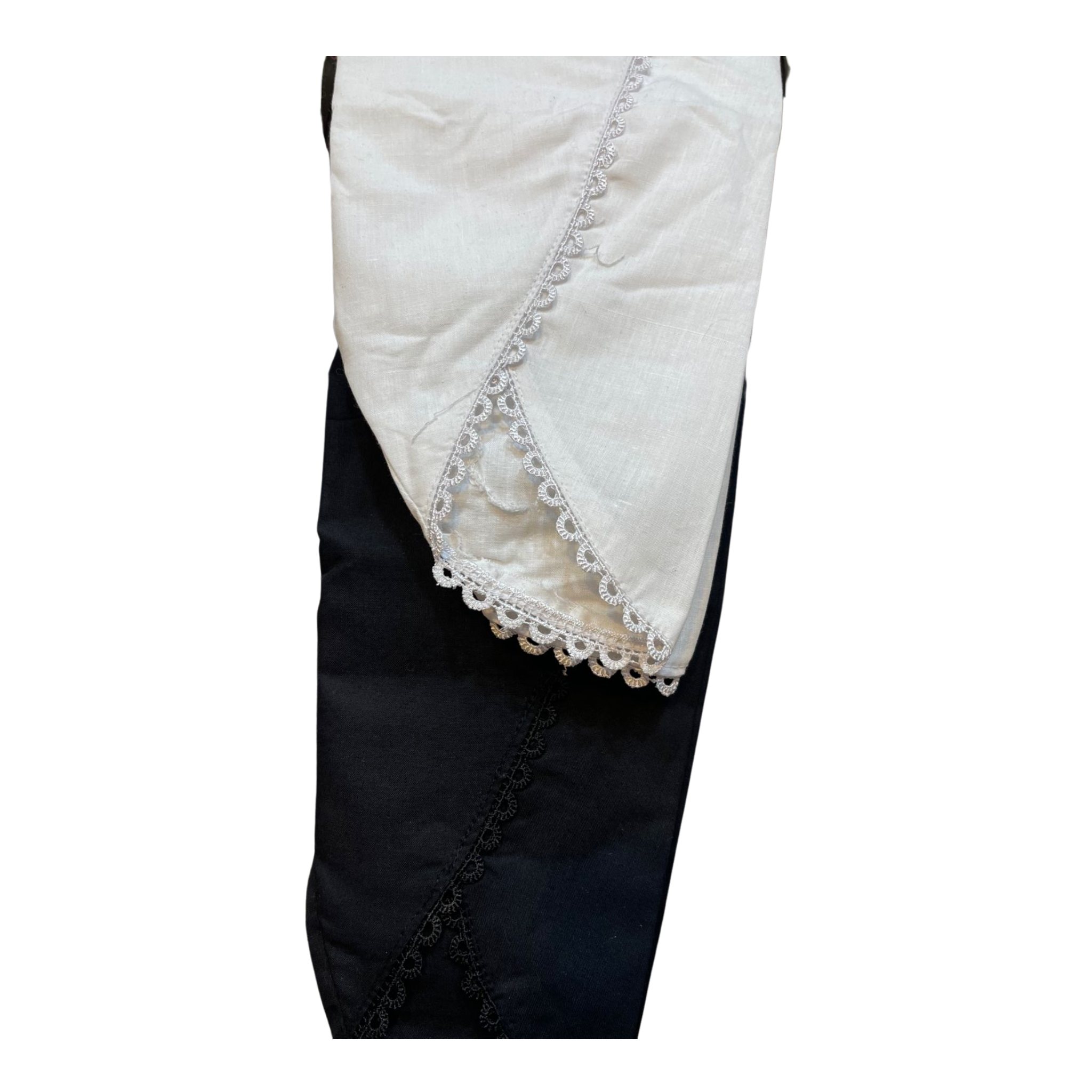 White tulip bottoms