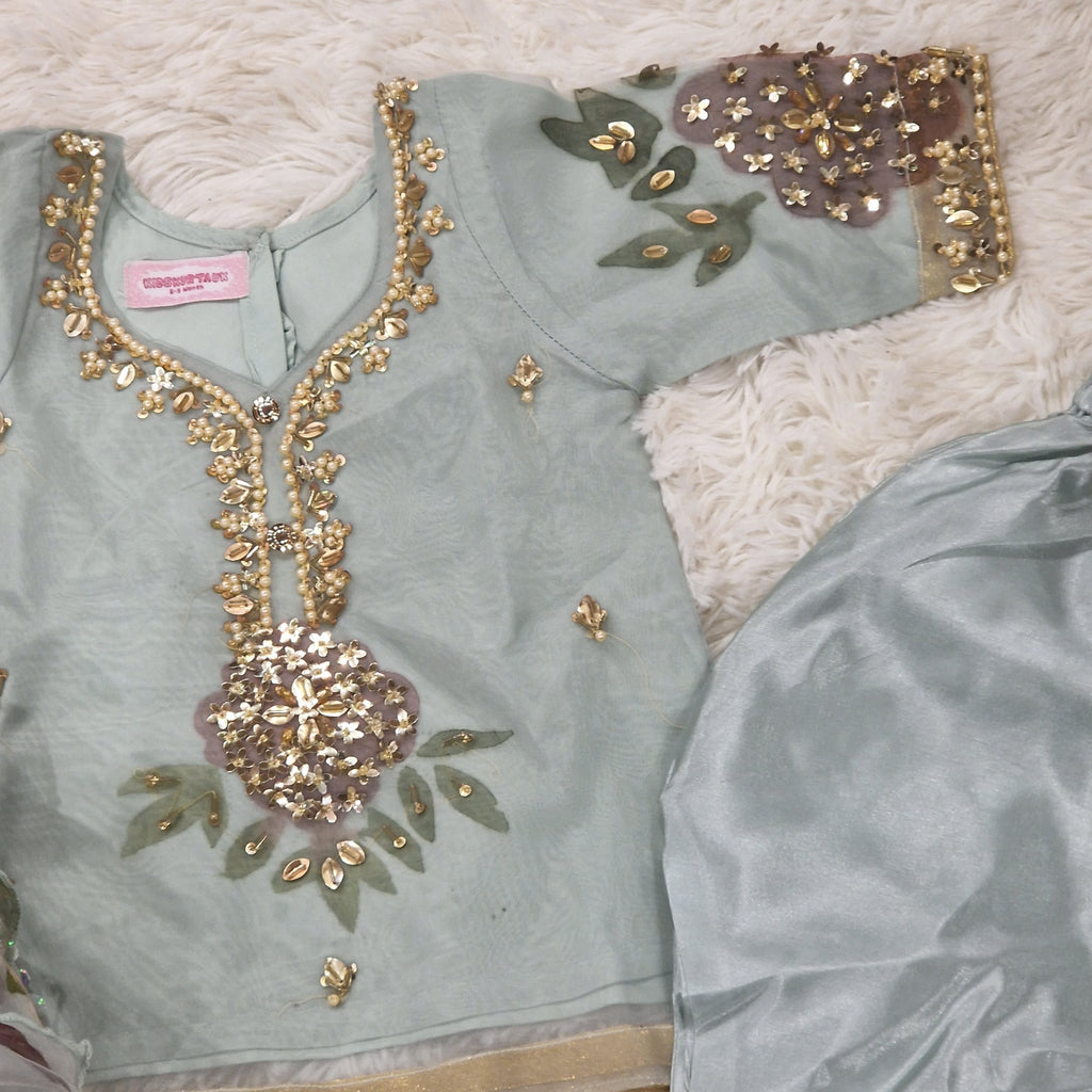 Mother Daughter -Minty organza with handpainted dupatta  (0-XXL)